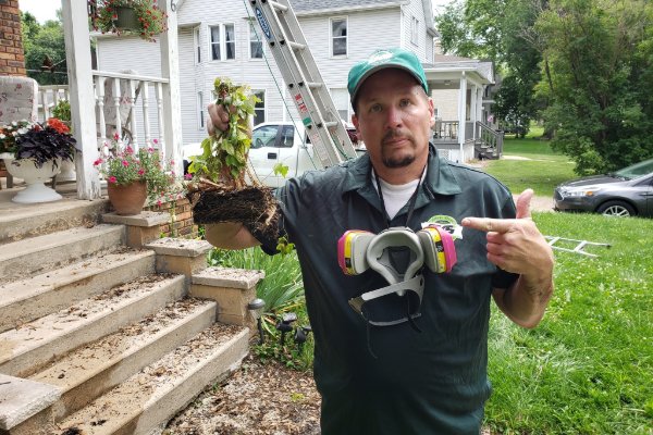 gutter cleaning services in madison wi 4